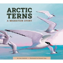 Arctic Terns: A Migration Story