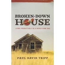 Broken-Down House: Living Productively in a World Gone Bad