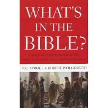 What's In the Bible: An All-in-One Guide to God's Word