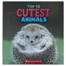 Top 10 Cutest Animals (Wild World)