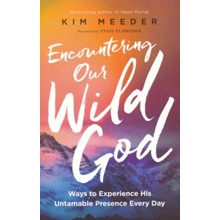 Encountering Our Wild God: Ways to Experience His Untamable Presence Every Day