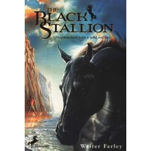 The Black Stallion
