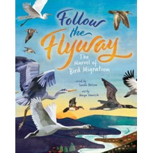 Follow the Flyway
