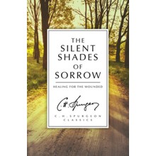 The Silent Shades of Sorrow: Healing for the Wounded