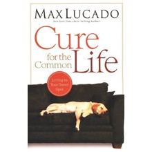 Cure for the Common Life
