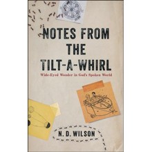 Notes from the Tilt-A-Whirl: Wide-Eyed Wonder in God's Spoken World